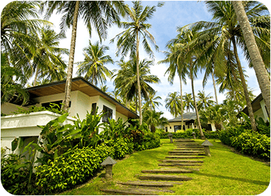 Maui Real Estate Photography Realtor Block 1 Maui Real Estate Photography Realtor Block 1